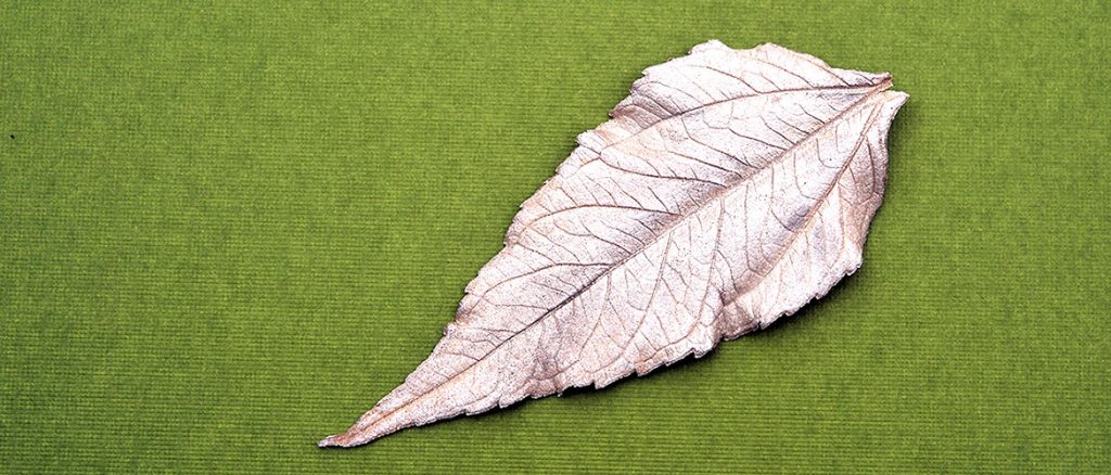 Blatt aus Silberclay Paste